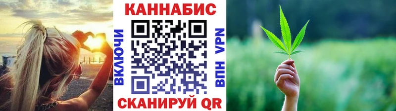 Купить закладки  Красный Холм  МАРИХУАНА сатива 